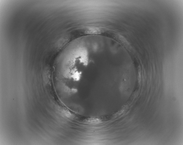 X0000066090322200603101213