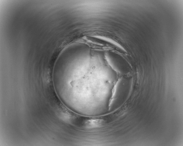 X0000066090323200603101213