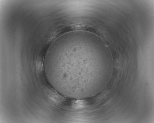 X0000066090324200603101213