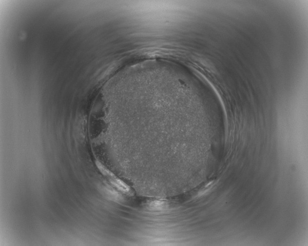 X0000066090325200603101212