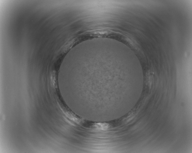 X0000066090328200603101212