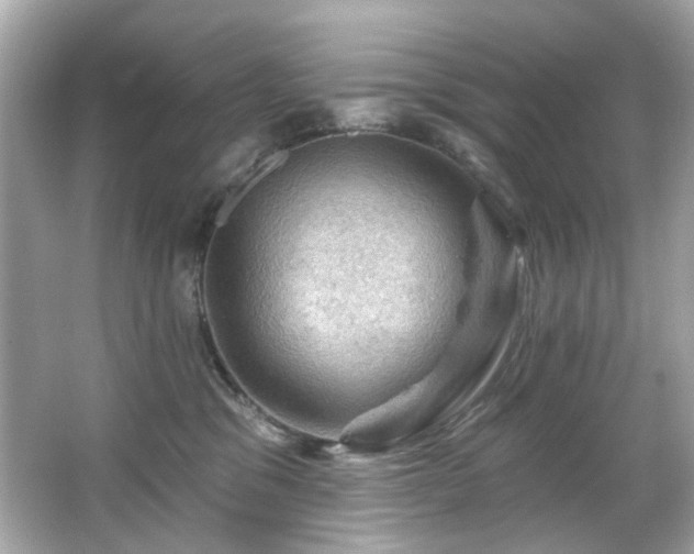 X0000066090329200603101212