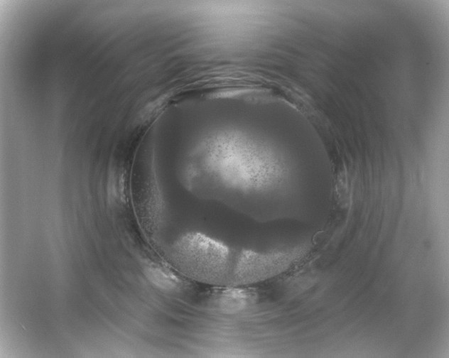 X0000066090330200603101212