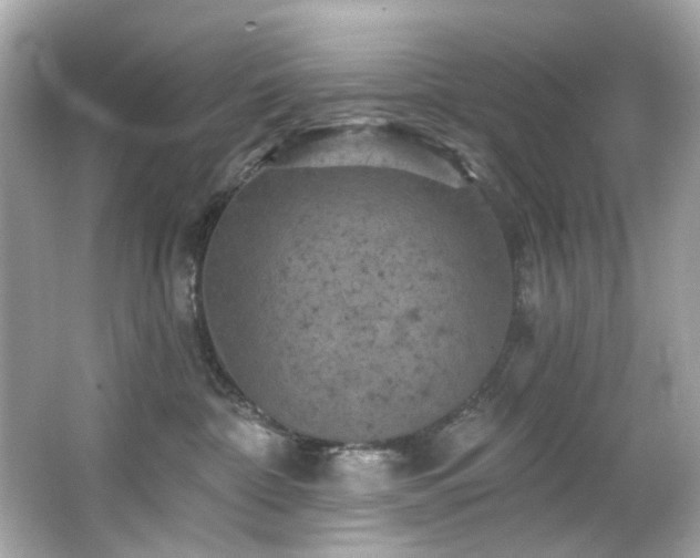 X0000066090332200603101212