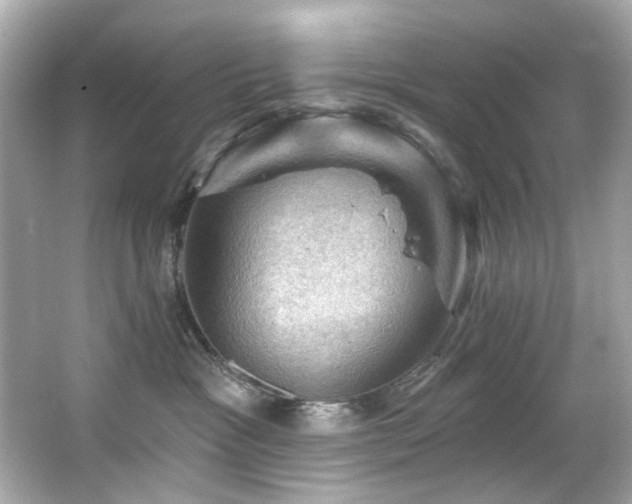 X0000066090333200603101212