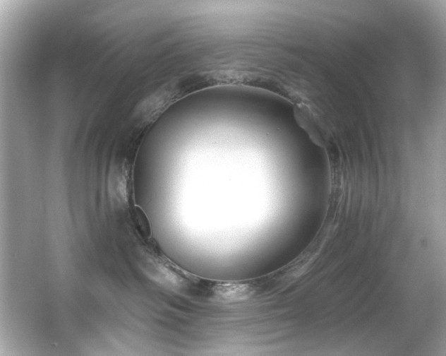 X0000066090334200603101212