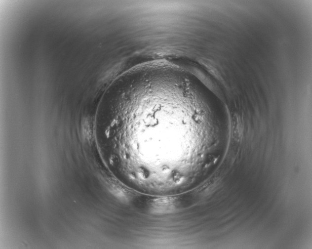 X0000066090335200603101212