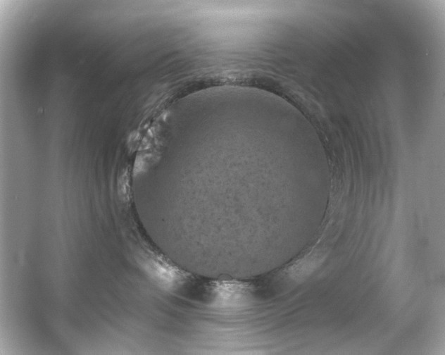 X0000066090336200603101212