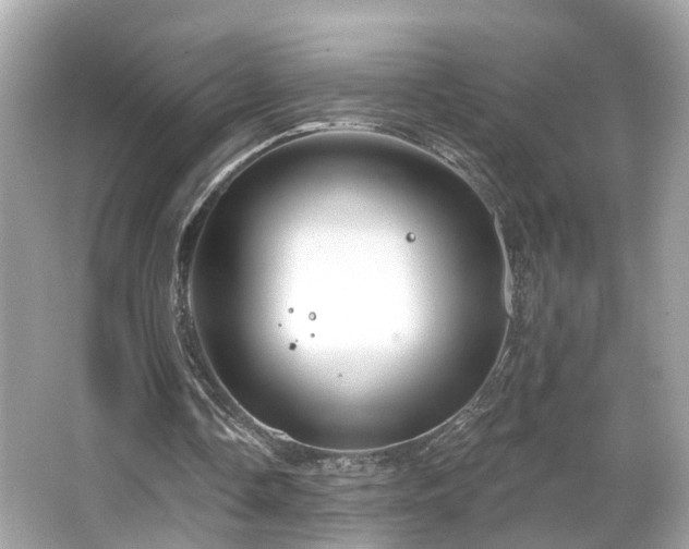 X0000066090338200603101211