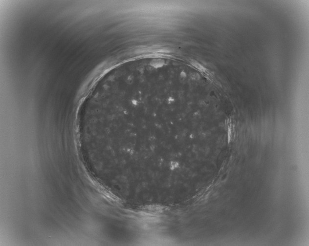 X0000066090339200603101211