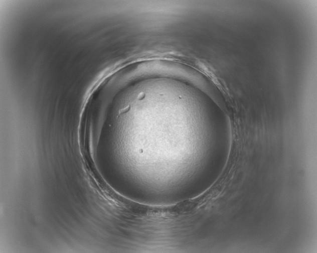 X0000066090340200603101212