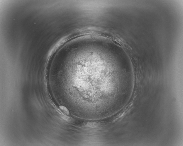 X0000066090341200603101212