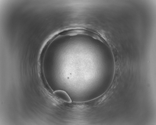 X0000066090342200603101212