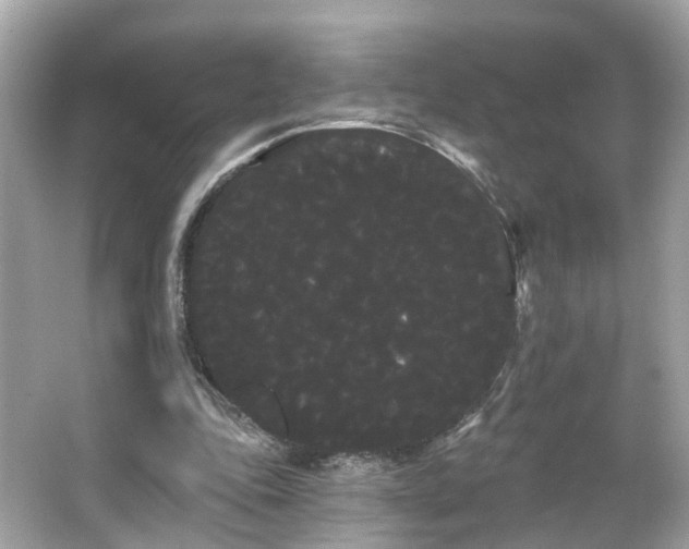 X0000066090343200603101212