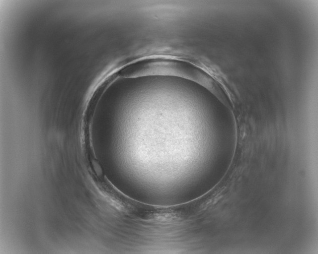 X0000066090344200603101212