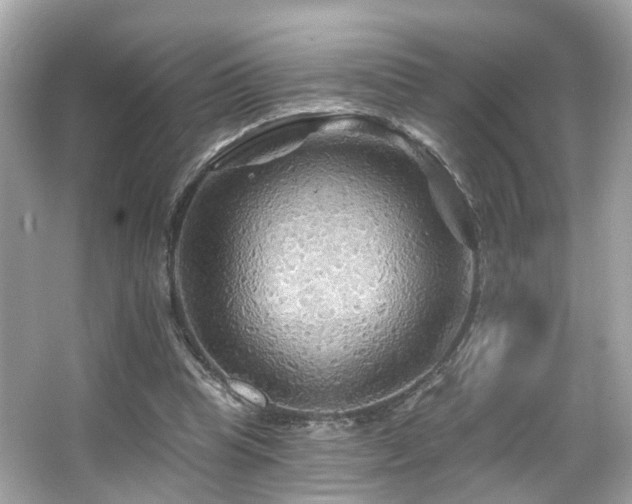 X0000066090345200603101212