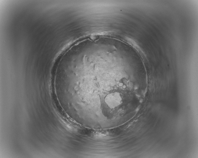 X0000066090346200603101212