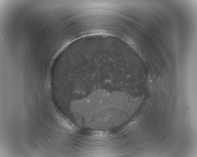 X0000066090347200603101212