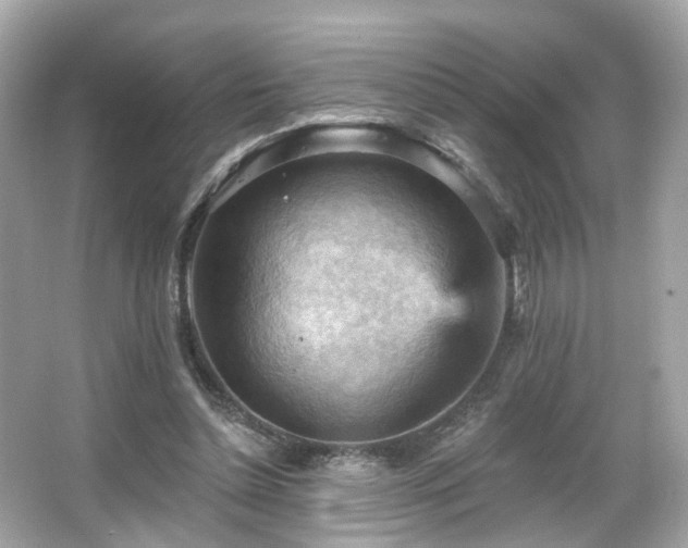 X0000066090348200603101212