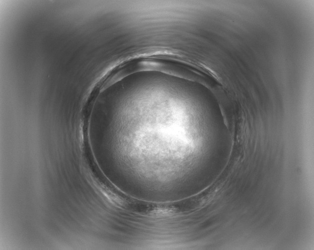 X0000066090350200603101212