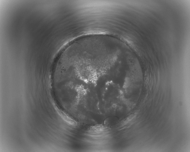 X0000066090351200603101212