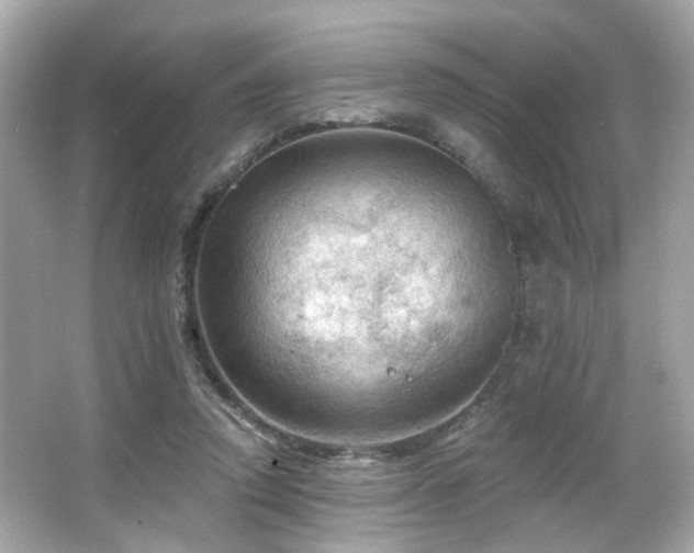 X0000066090354200603101212