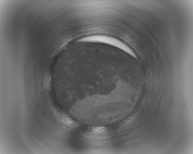 X0000066090355200603101212