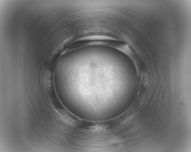 X0000066090356200603101212