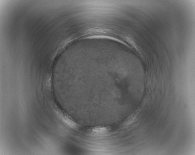 X0000066090357200603101212