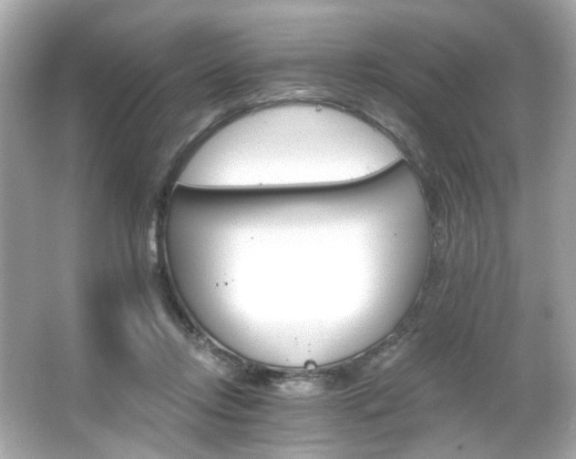 X0000066090358200603101212