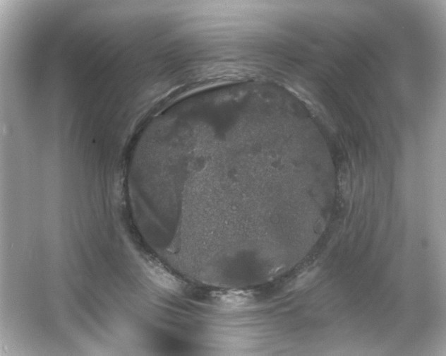 X0000066090359200603101212