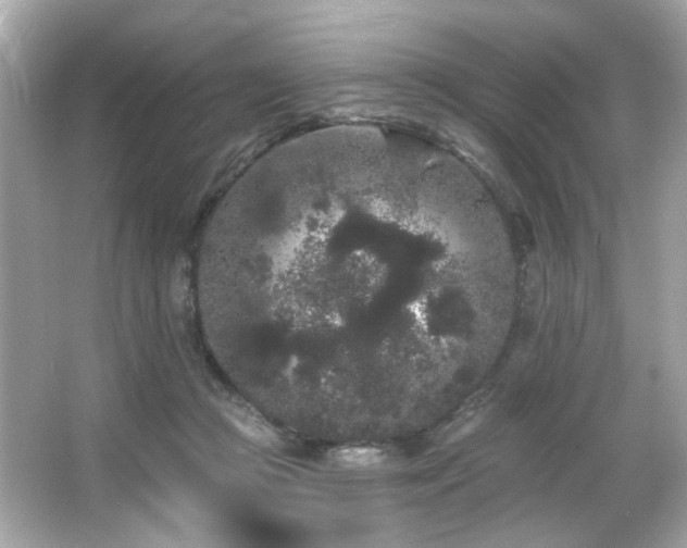 X0000066090361200603101212