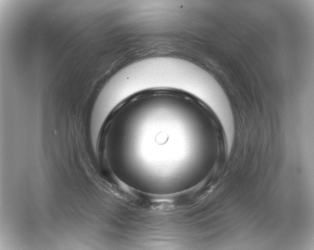 X0000066090362200603101212