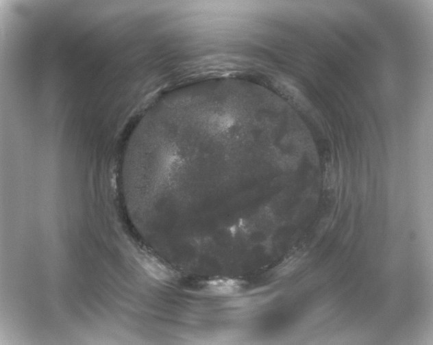 X0000066090363200603101212