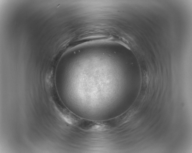 X0000066090364200603101212