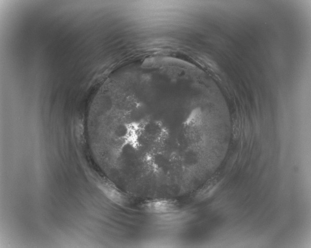 X0000066090365200603101212