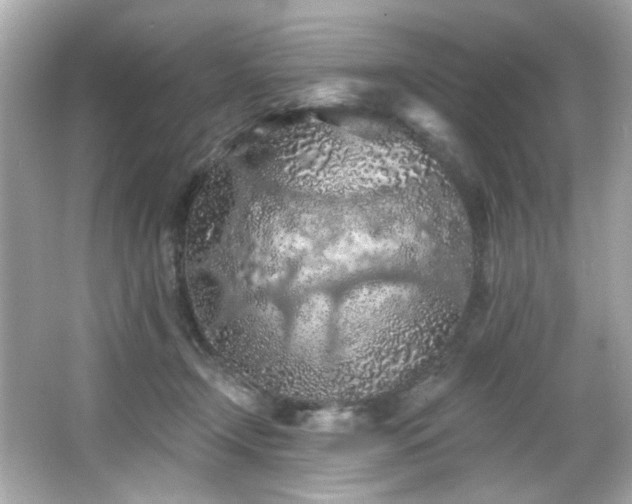 X0000066090366200603101212