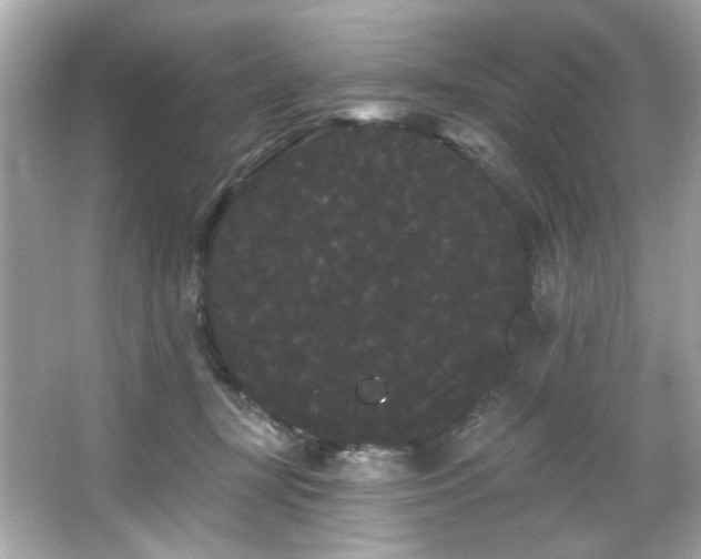 X0000066090367200603101212