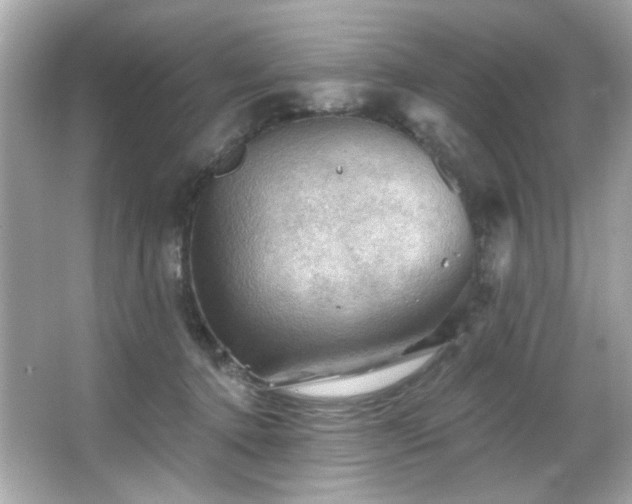 X0000066090368200603101212