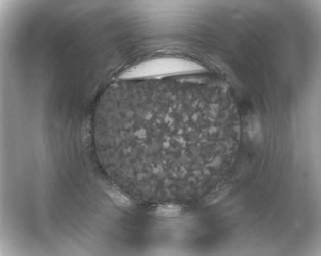 X0000066090369200603101212