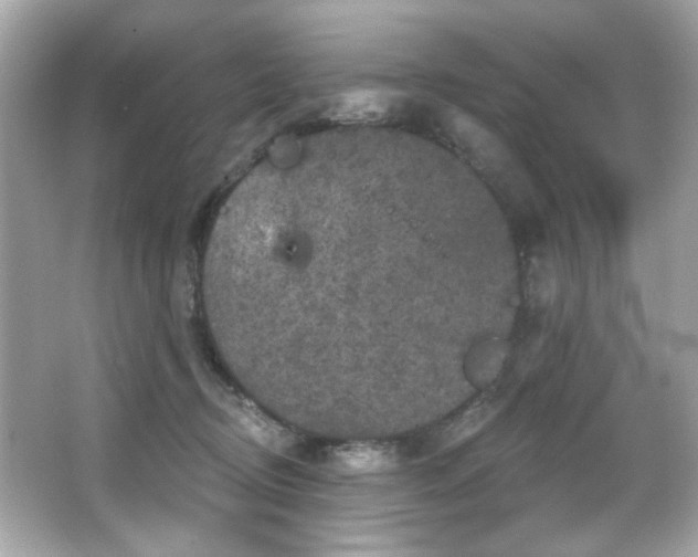 X0000066090370200603101212