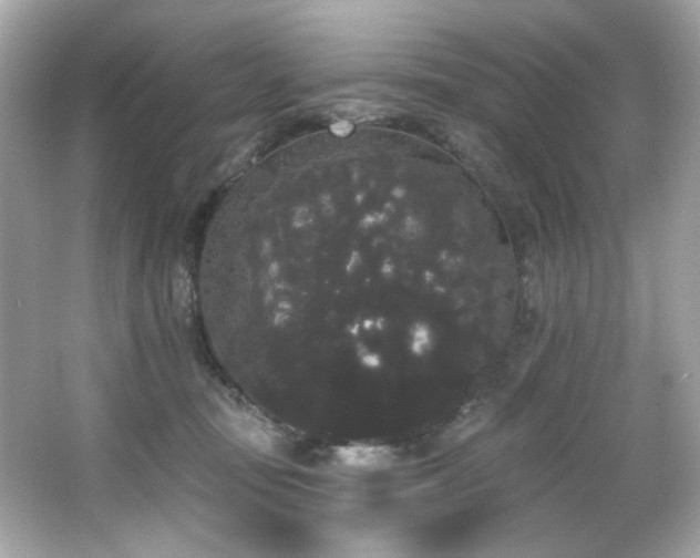 X0000066090371200603101212