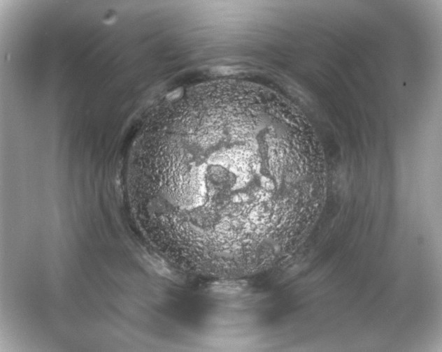 X0000066090373200603101212