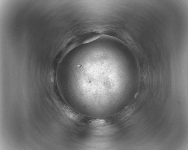 X0000066090374200603101212