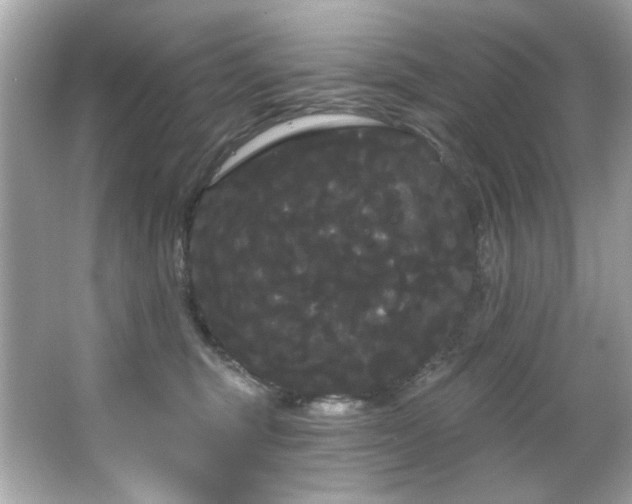 X0000066090375200603101212