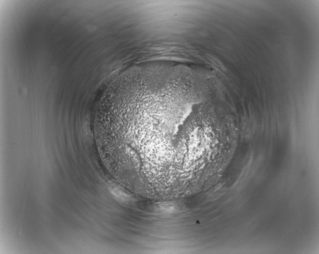 X0000066090377200603101212