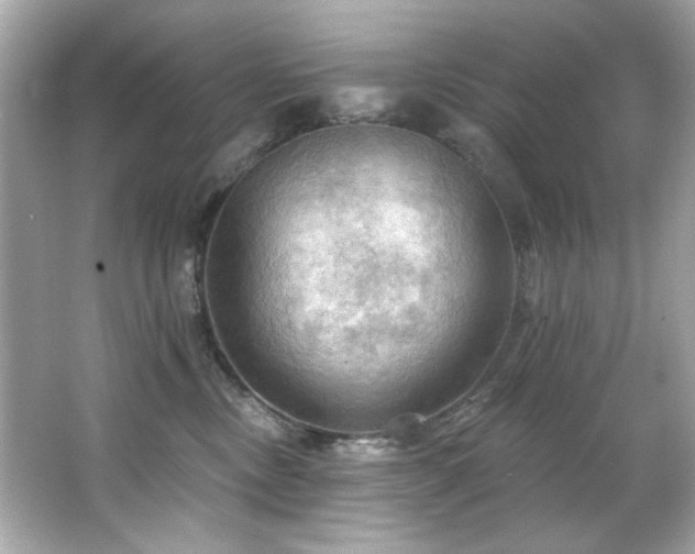 X0000066090378200603101212