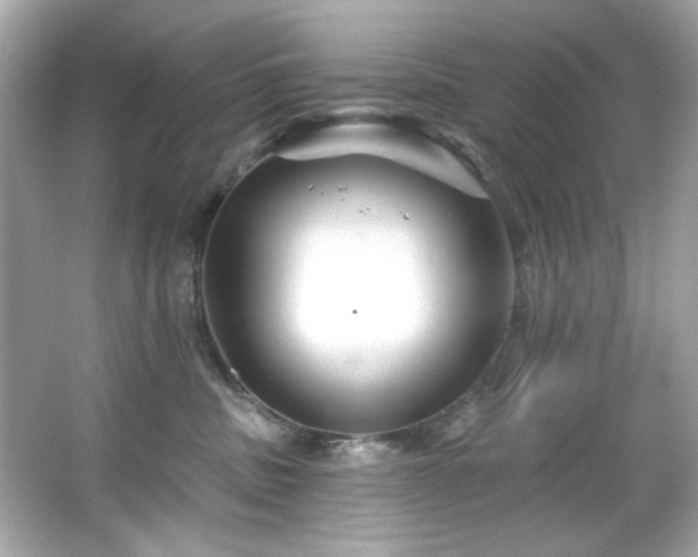 X0000066090379200603101212