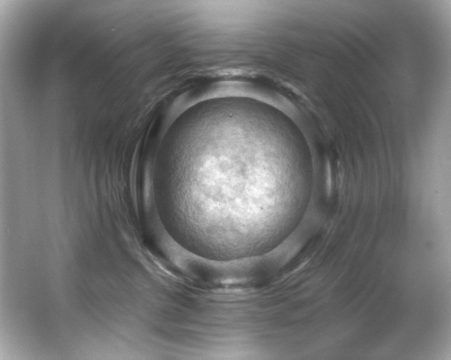 X0000066090380200603101212