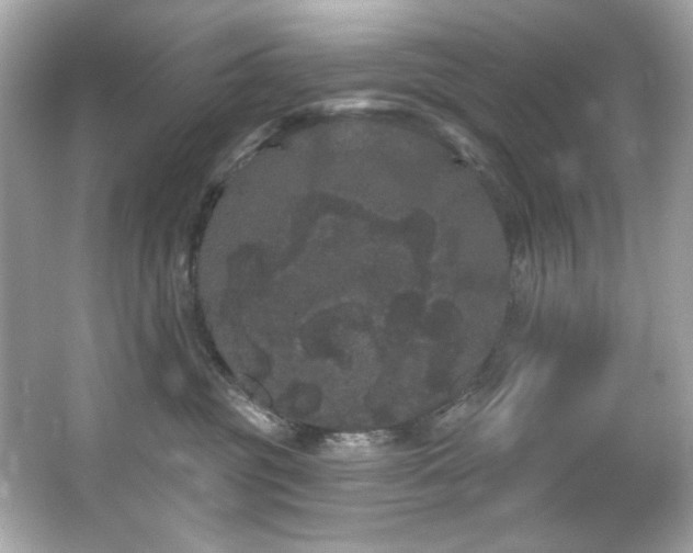 X0000066090381200603101212